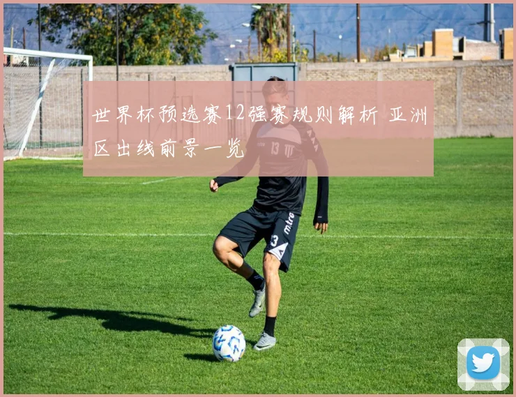 世界杯预选赛12强赛规则解析 亚洲区出线前景一览