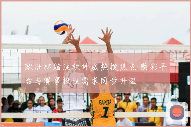 欧洲杯赌注软件成热搜焦点 购彩平台与赛事投注需求同步升温