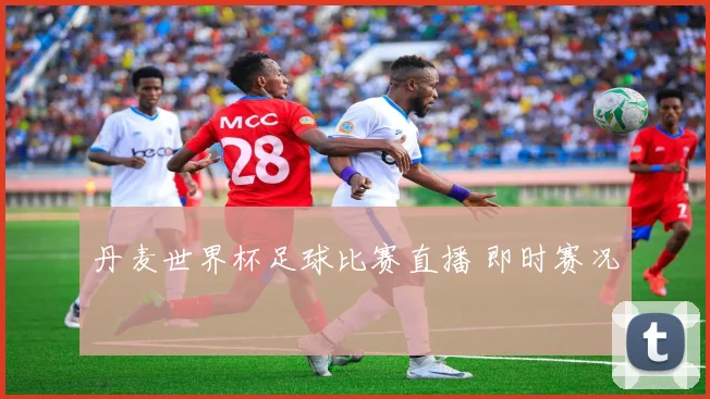 丹麦世界杯足球比赛直播 即时赛况