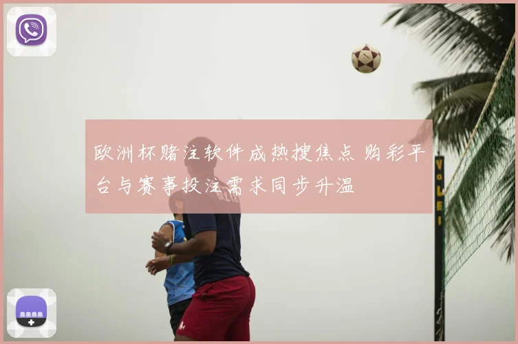 欧洲杯赌注软件成热搜焦点 购彩平台与赛事投注需求同步升温