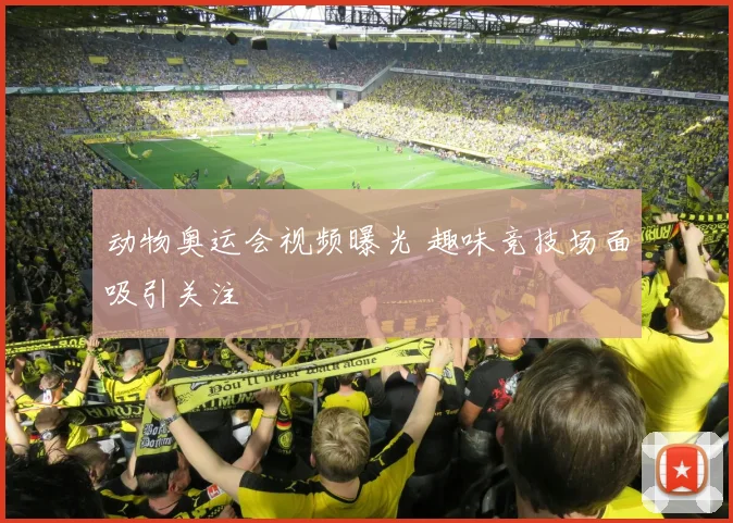 动物奥运会视频曝光 趣味竞技场面吸引关注