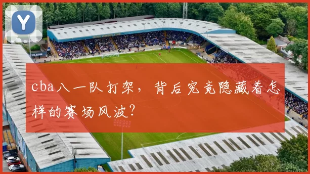 cba八一队打架,背后究竟隐藏着怎样的赛场风波?